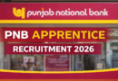 PNB Apprentice Recruitment 2026