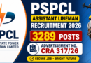 PSPCL Assistant Lineman Recruitment 2026 – 3289 Posts