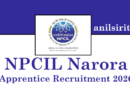 NPCIL Narora Apprentice Recruitment 2026 Out